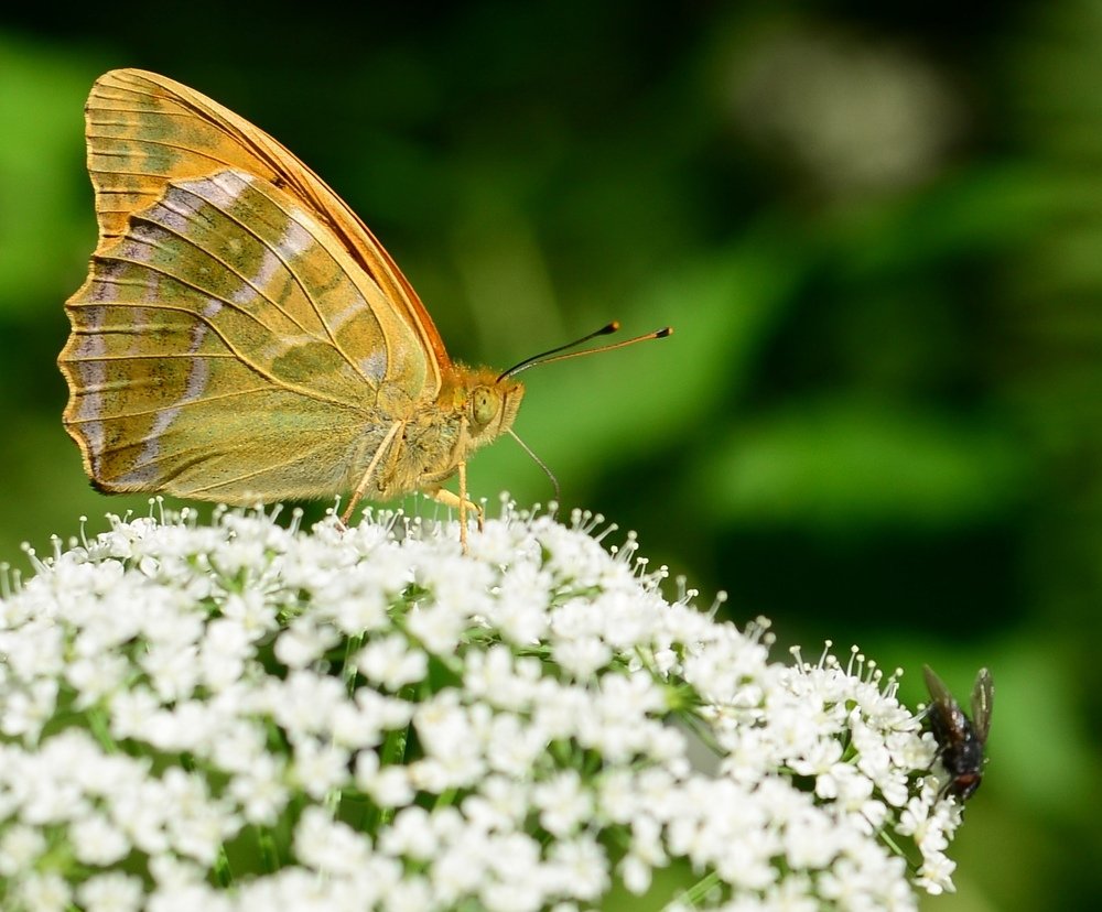 Фотография автора Anna NovaLova