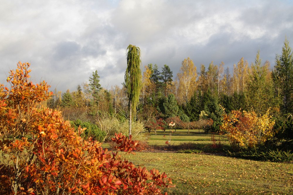 Photograph by Viktors Giršsons