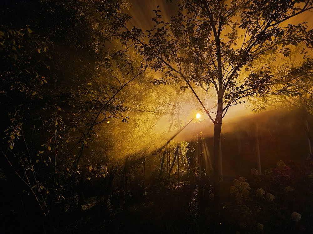 Photograph by Andrey Kondrov