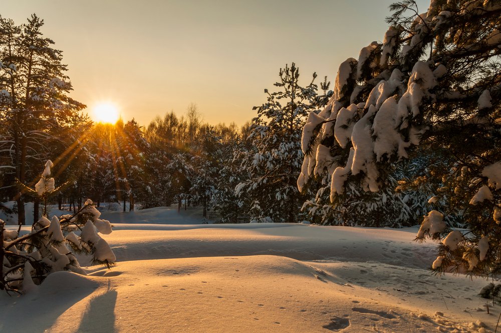 Photograph by Андрей Папанов