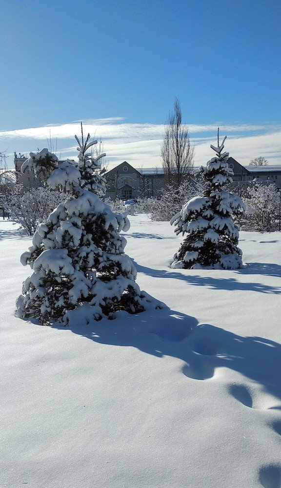 Photograph by Марина Мишина