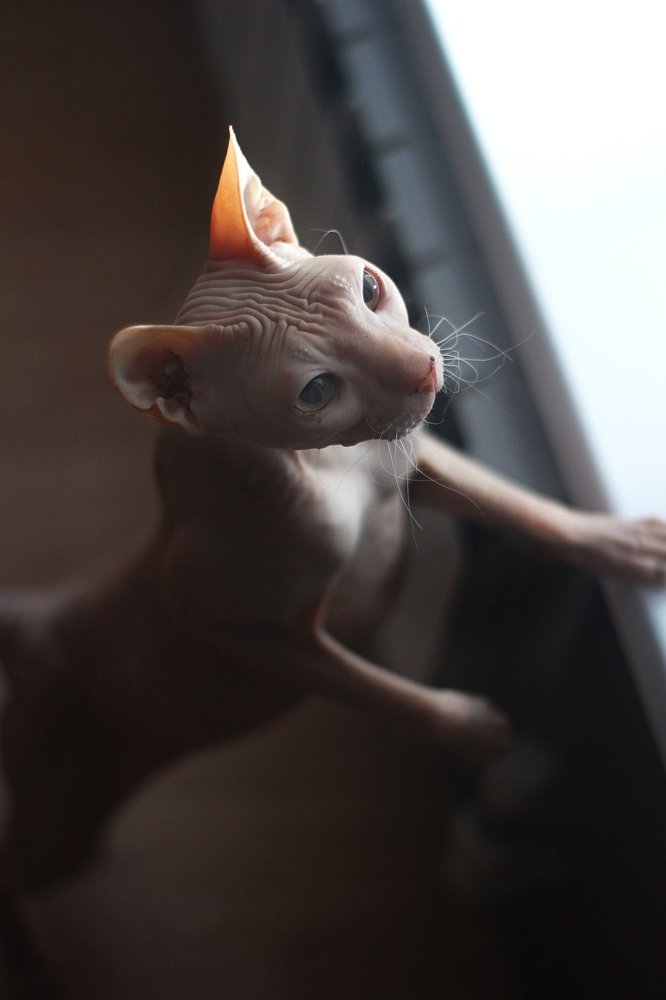 Photograph by Алёна Горбылева