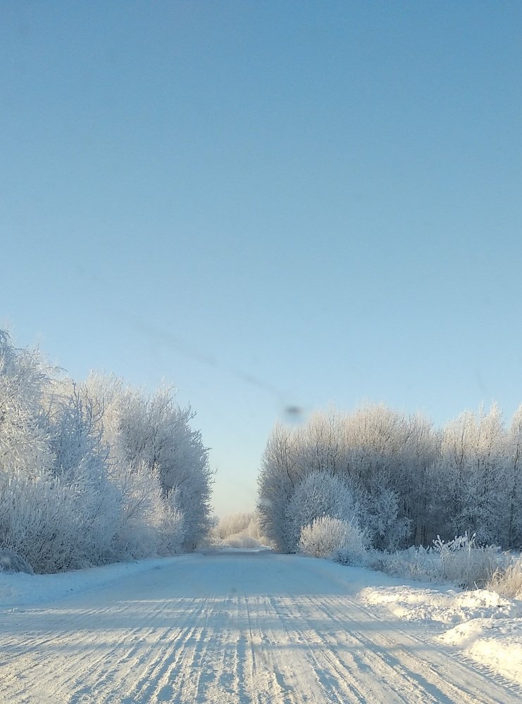 Photograph by Марина Мишина