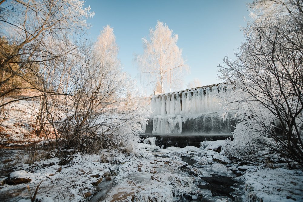 Фотография автора Паша Петров