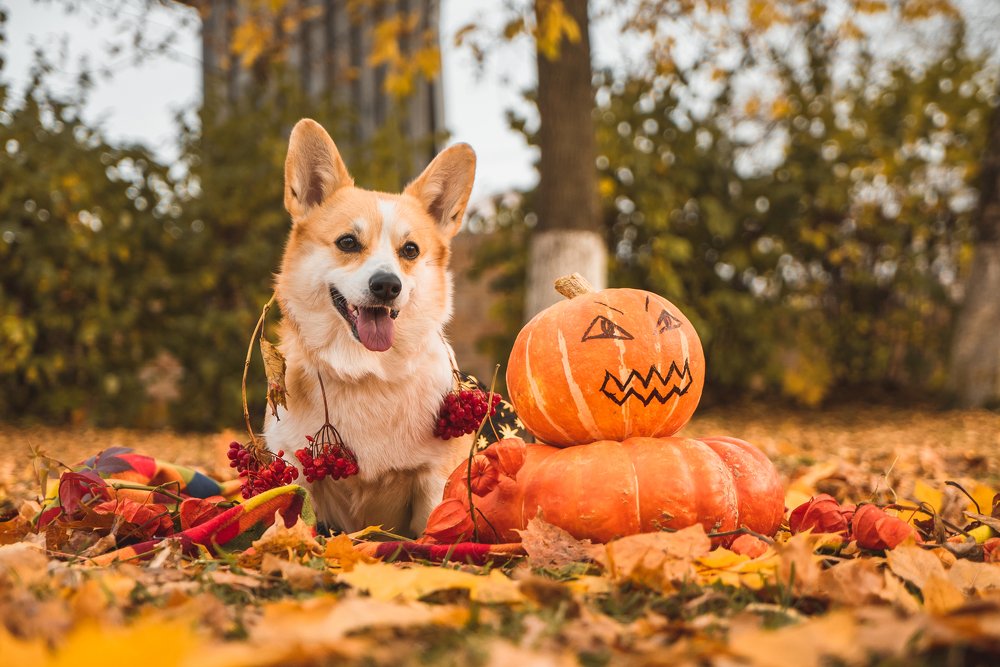 Photograph by Егор Вихрев