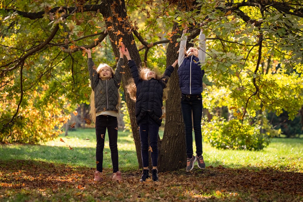 Photograph by Наталья Доброквашина