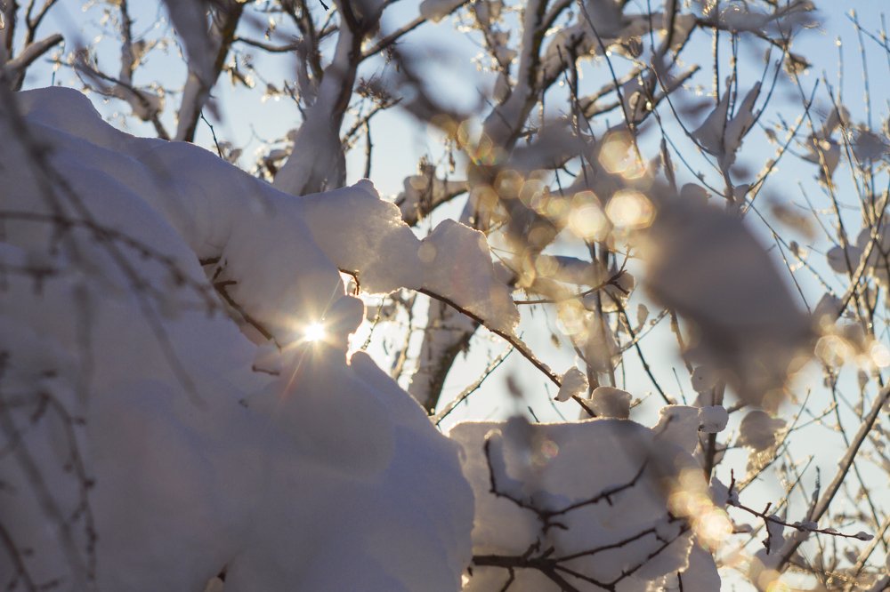 Photograph by Ольга Дорошенко