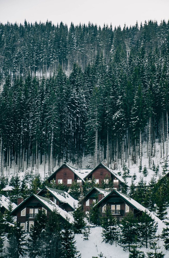 Photograph by Владимир Кирик