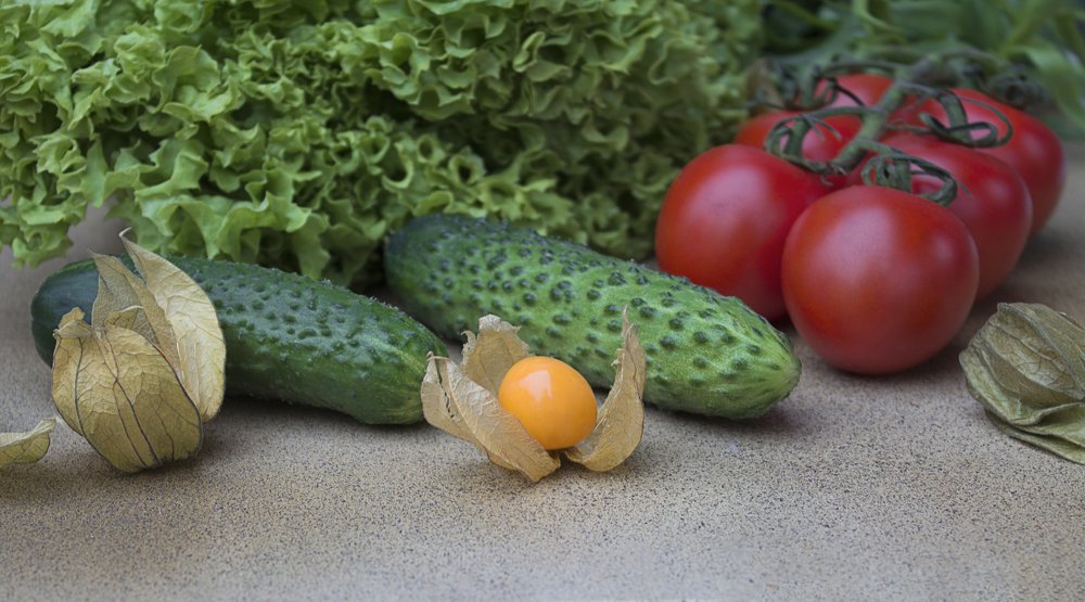 Photograph by Ольга Дорошенко