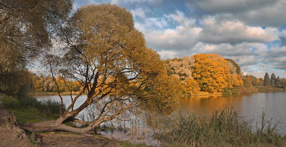 Фотография автора Анатолий Дауров