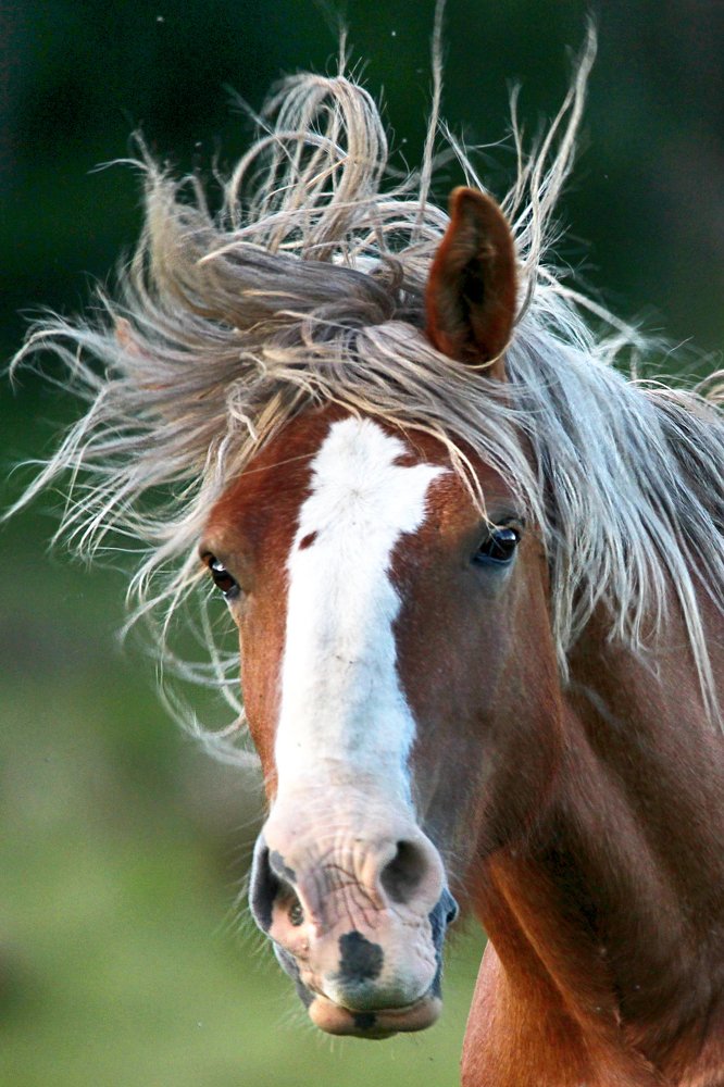 Photograph by Anna Suchcicka