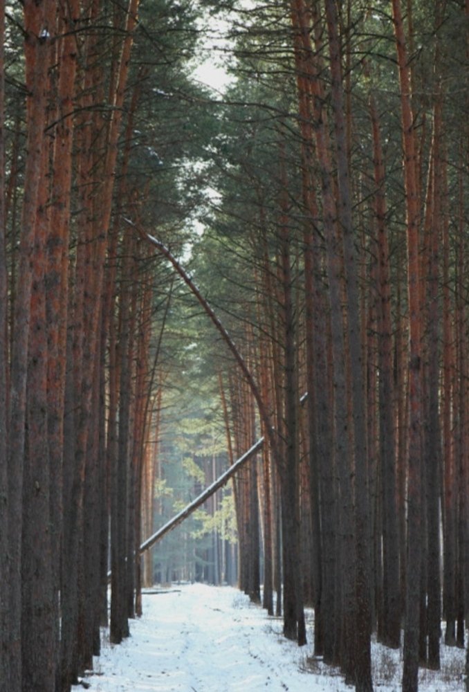 Photograph by Оксана Федулова