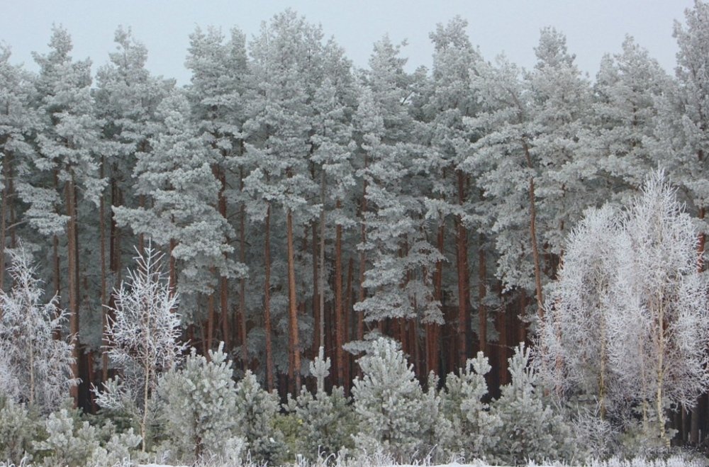 Photograph by Оксана Федулова