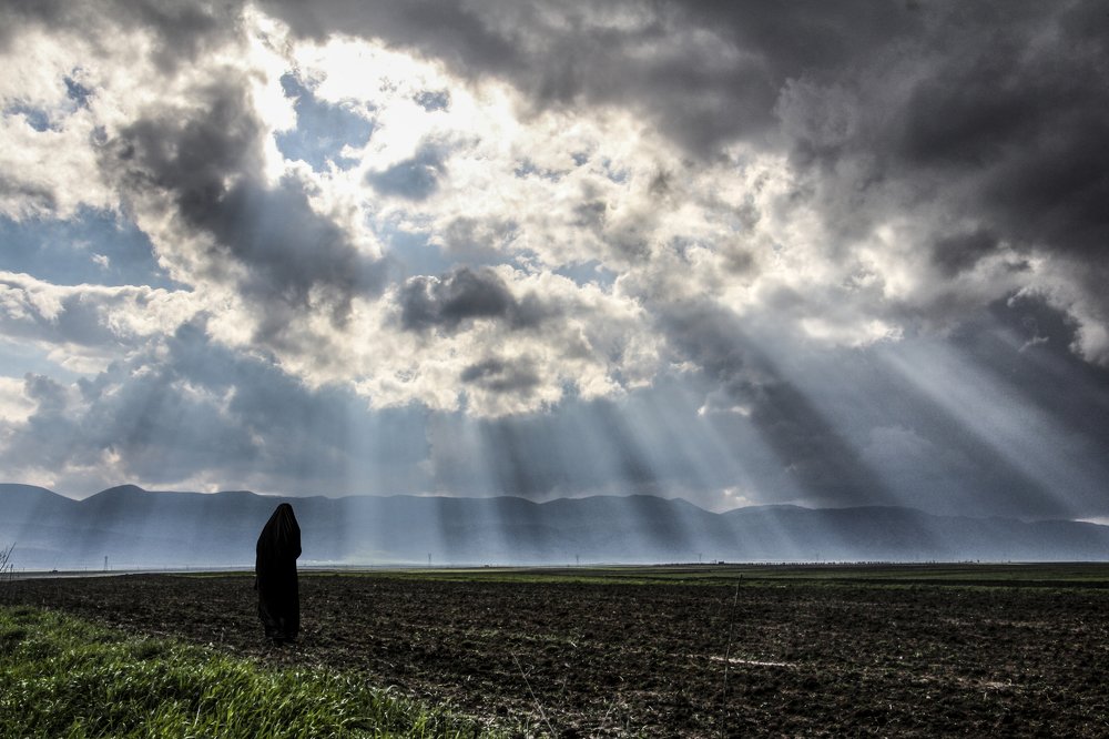 Photograph by amin Sharafiani