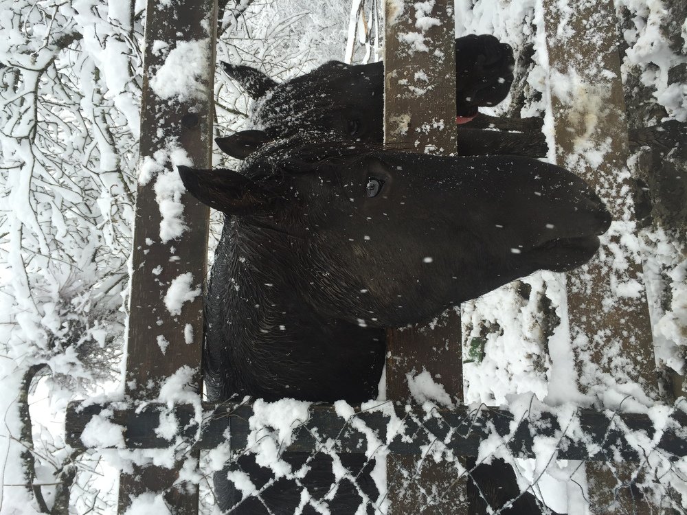 Photograph by Ангелина Журавлева