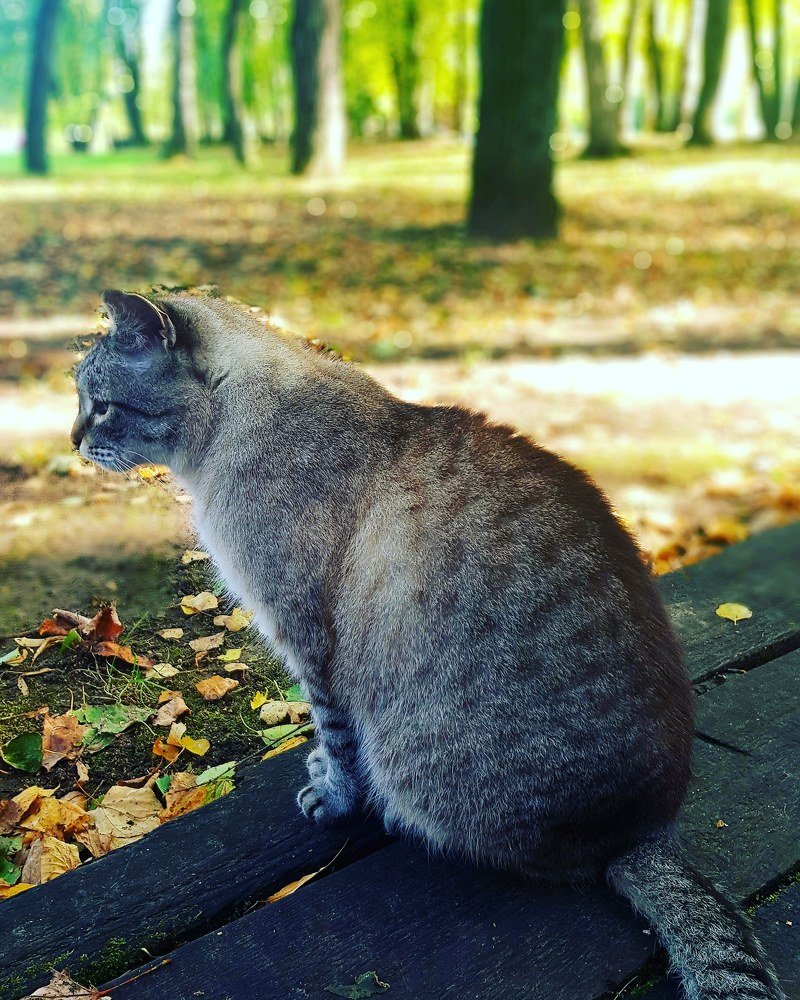 До лета осталось...