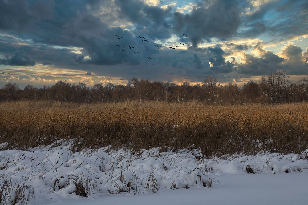 Фотография автора Роман