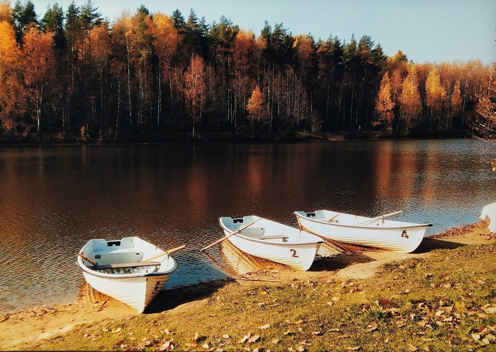 Photograph by Любовь Сухова