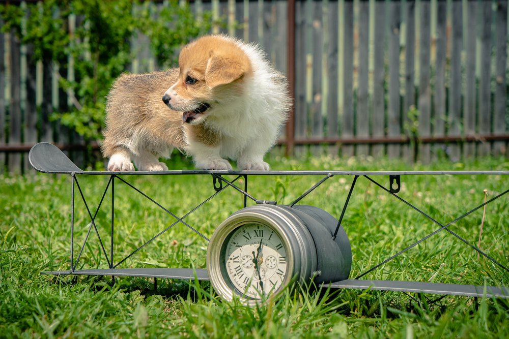 Photograph by Егор Вихрев