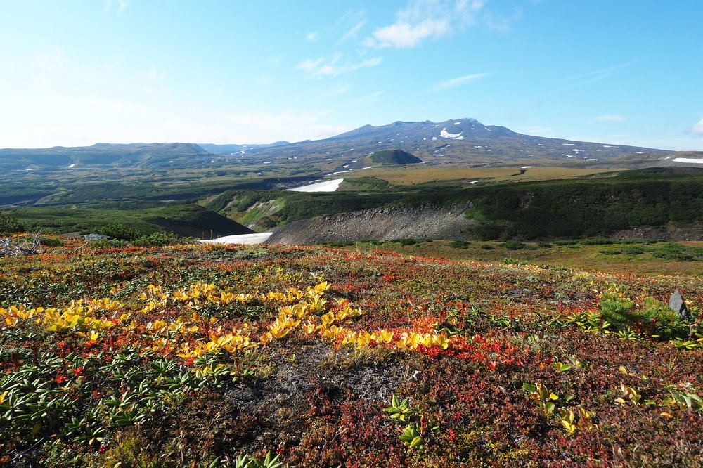 Photograph by Анна Тиунова