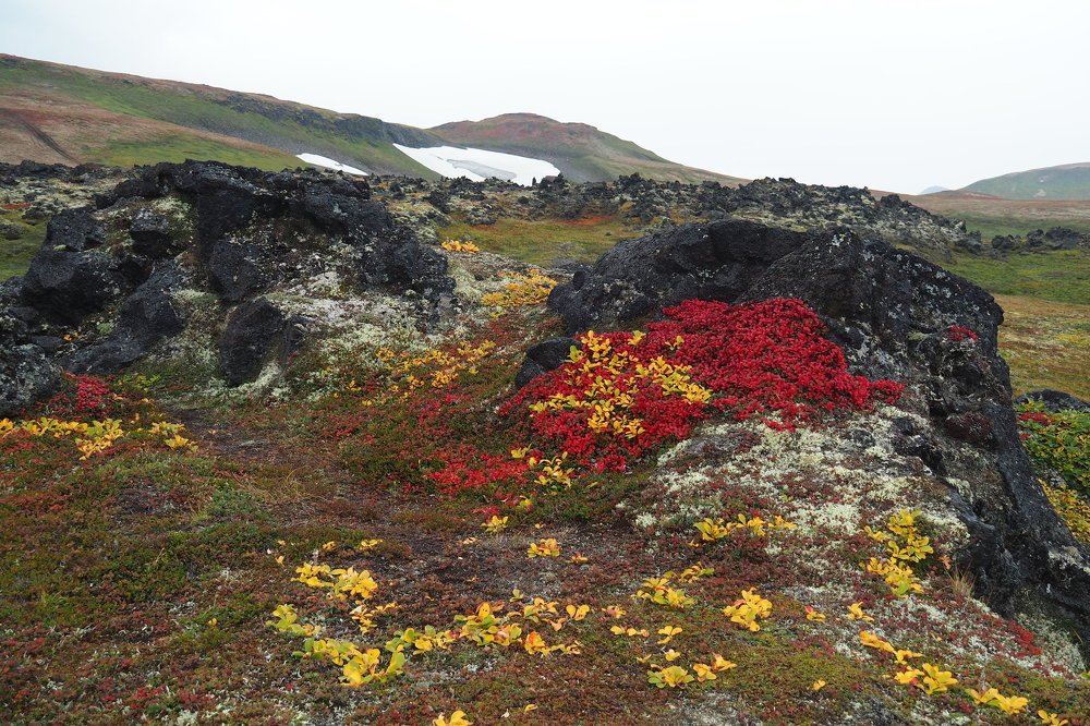 Photograph by Анна Тиунова