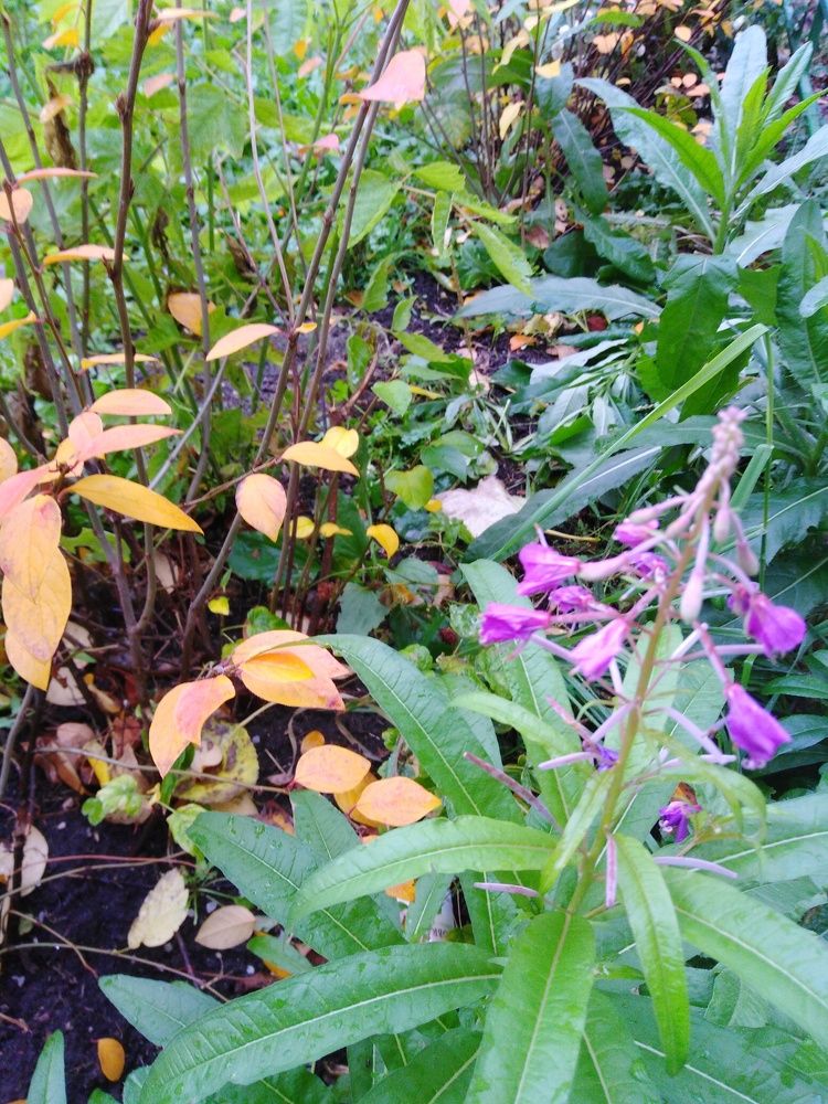 Photograph by Татьяна Ситникова