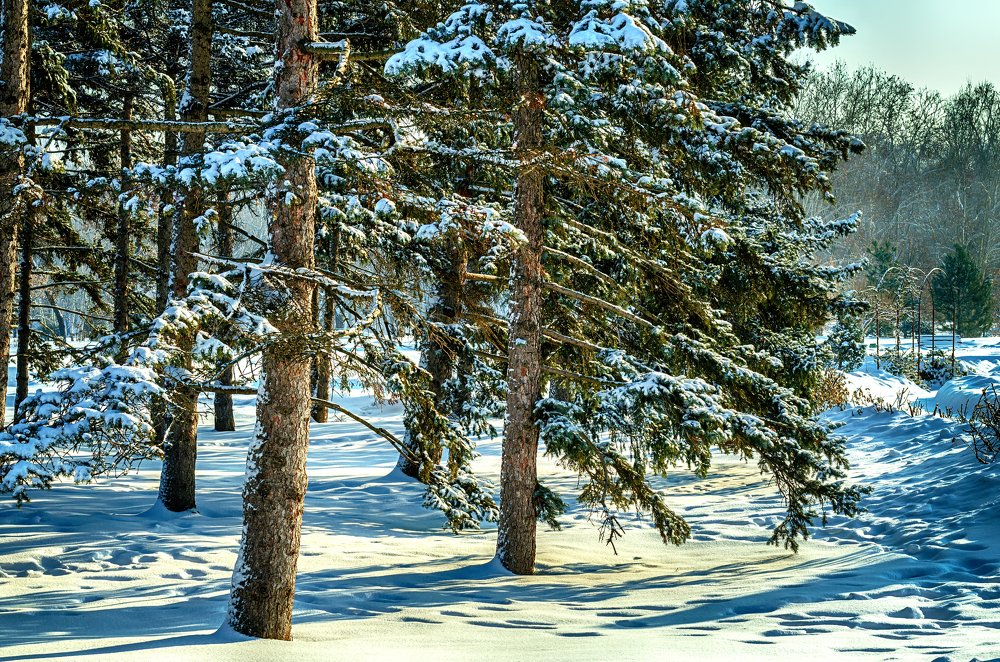 Фотография автора Владимир Троян
