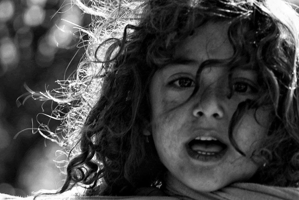 Photograph by omid zarei