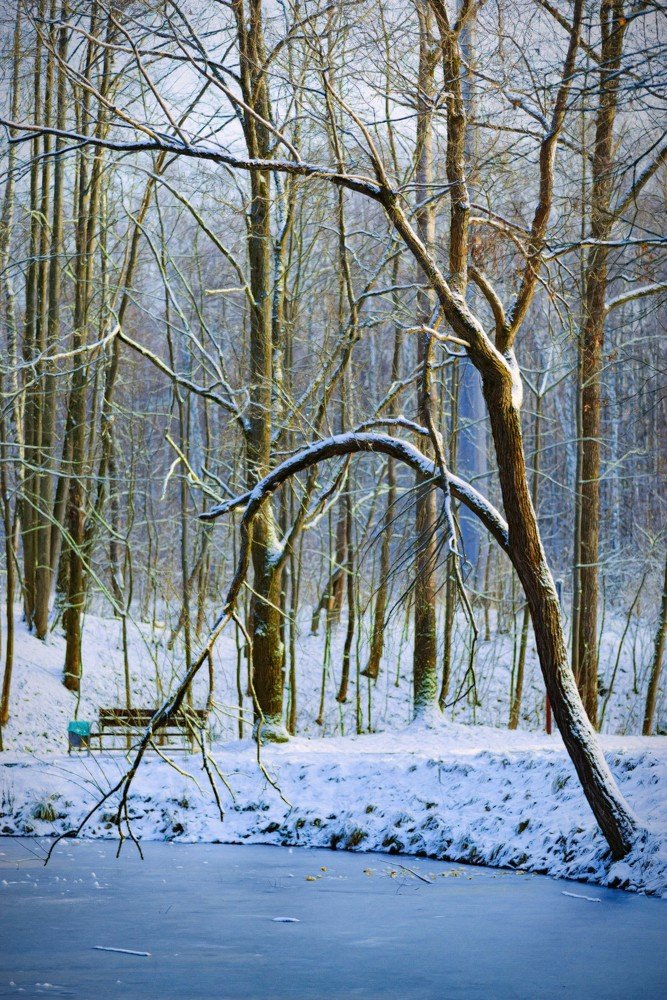 Photograph by Владимир Фирсов