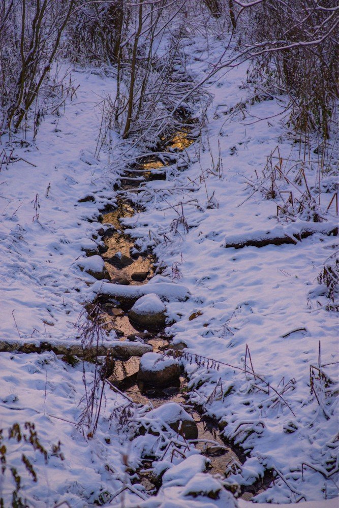 Photograph by Владимир Фирсов