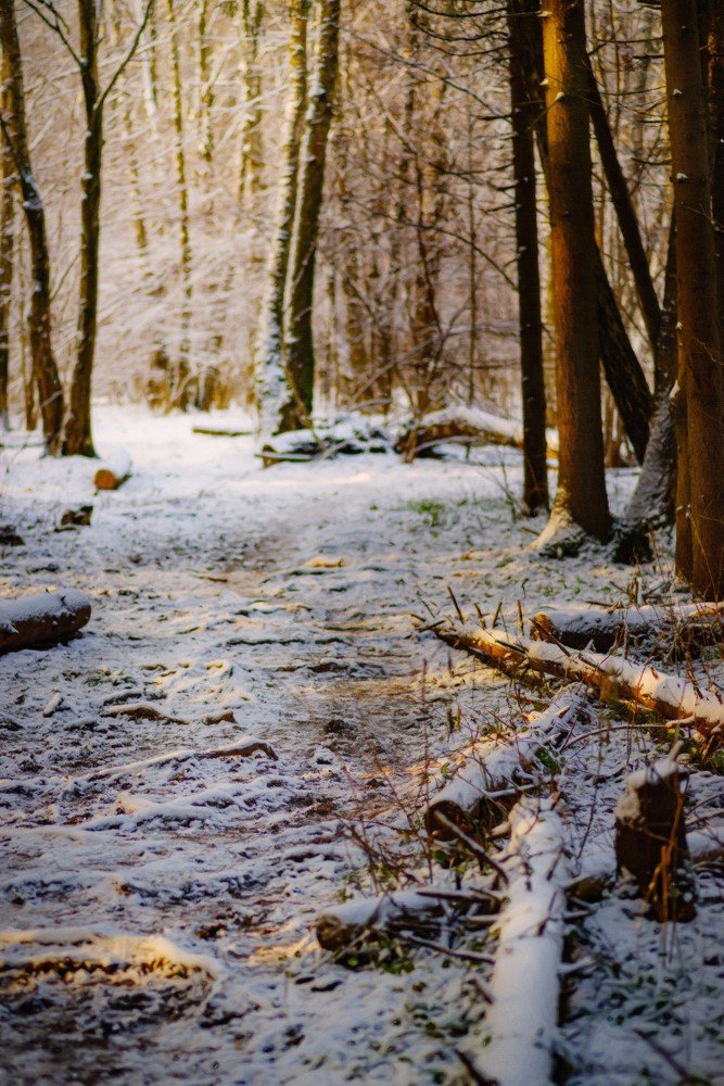 Photograph by Владимир Фирсов