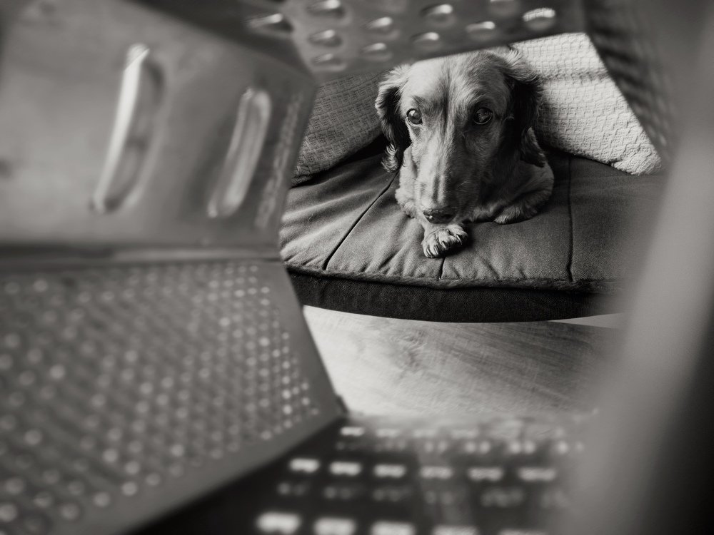 Недовольный Бакс