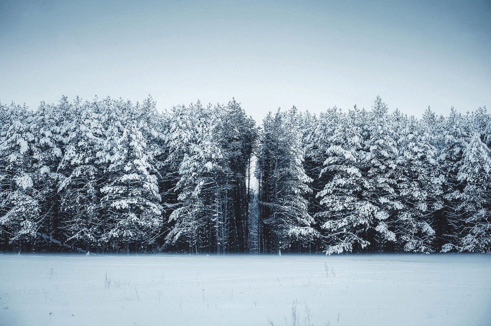 Photograph by Romanov Denis