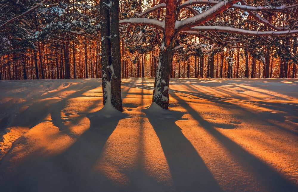 Photograph by Romanov Denis