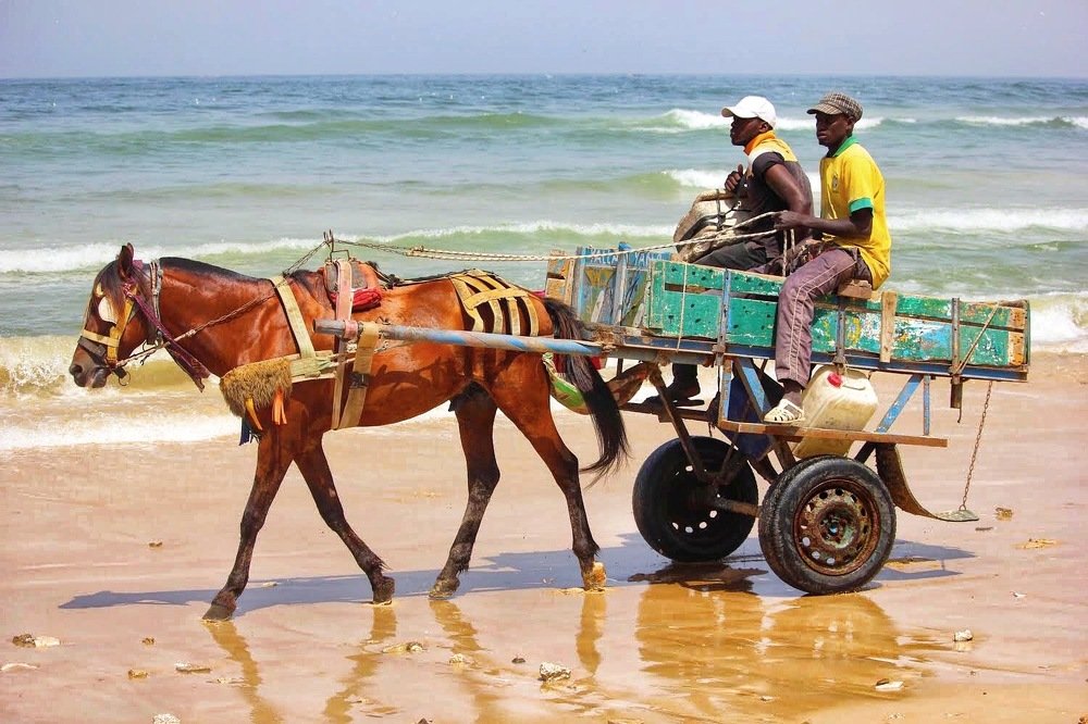 Photograph by Kevya R. Mpele