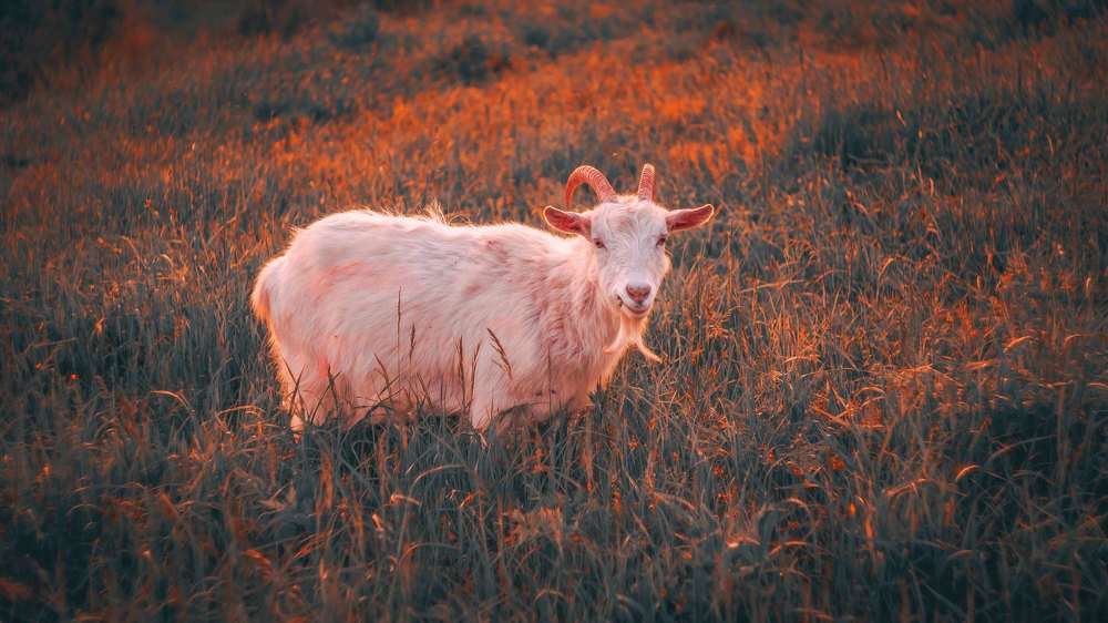 Photograph by Romanov Denis