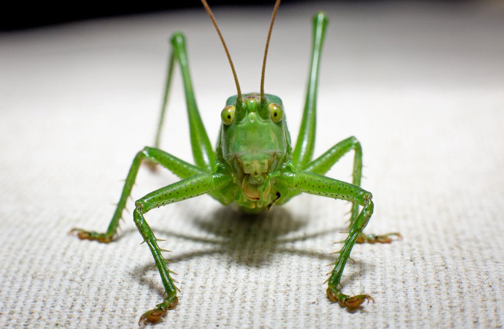 Photograph by Marcin Mirek