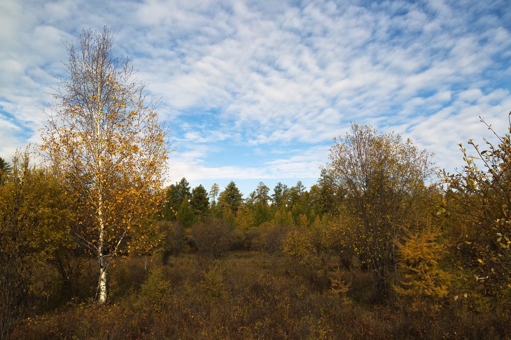 Начало осени.