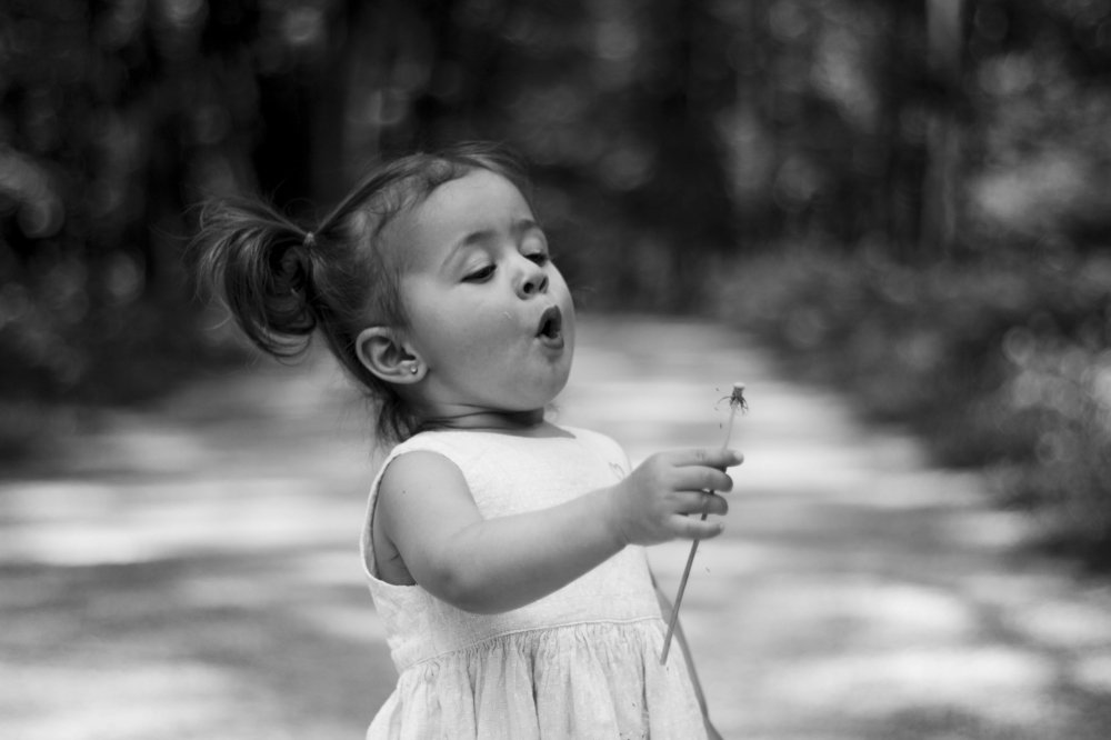 Photograph by Шота Бацашвили