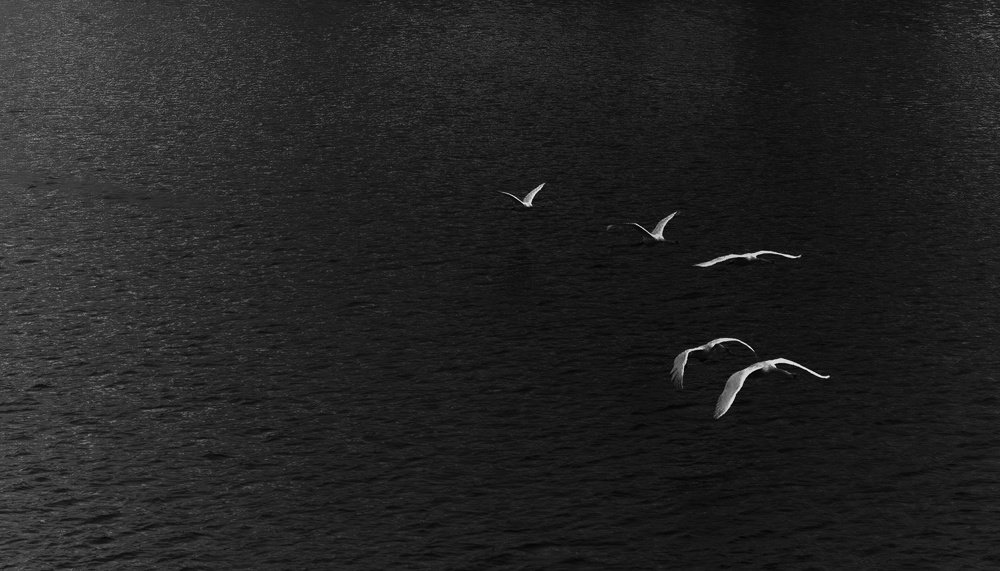 Photograph by Palina Mikhailouskaya