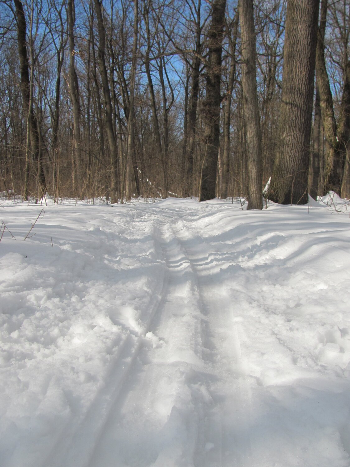 Photo #5327276