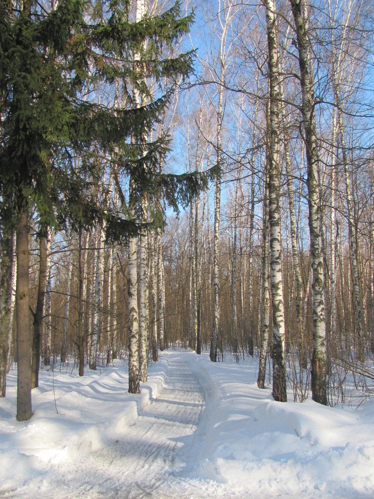 Photograph by АНДРЕЙ (Andrey) КАРТАШОВ (Kartashov)