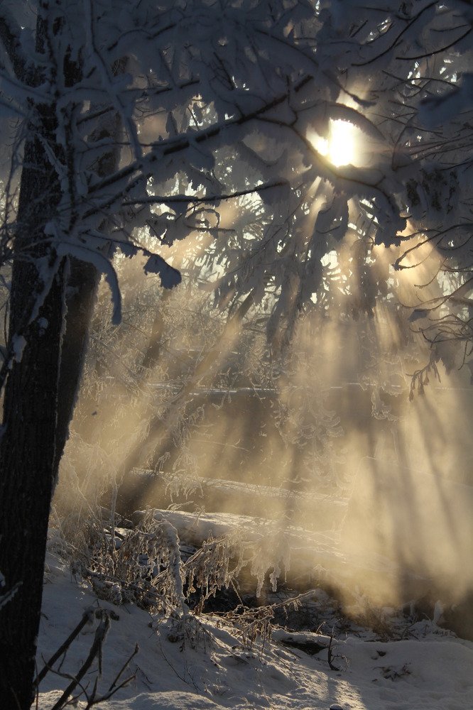 Photograph by Наталья Кузнецова