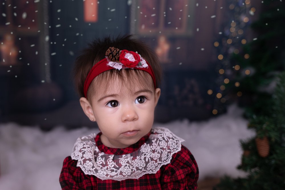 Photograph by VIEGAS JANE