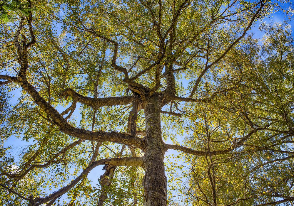 Photograph by Александр Арбачаков