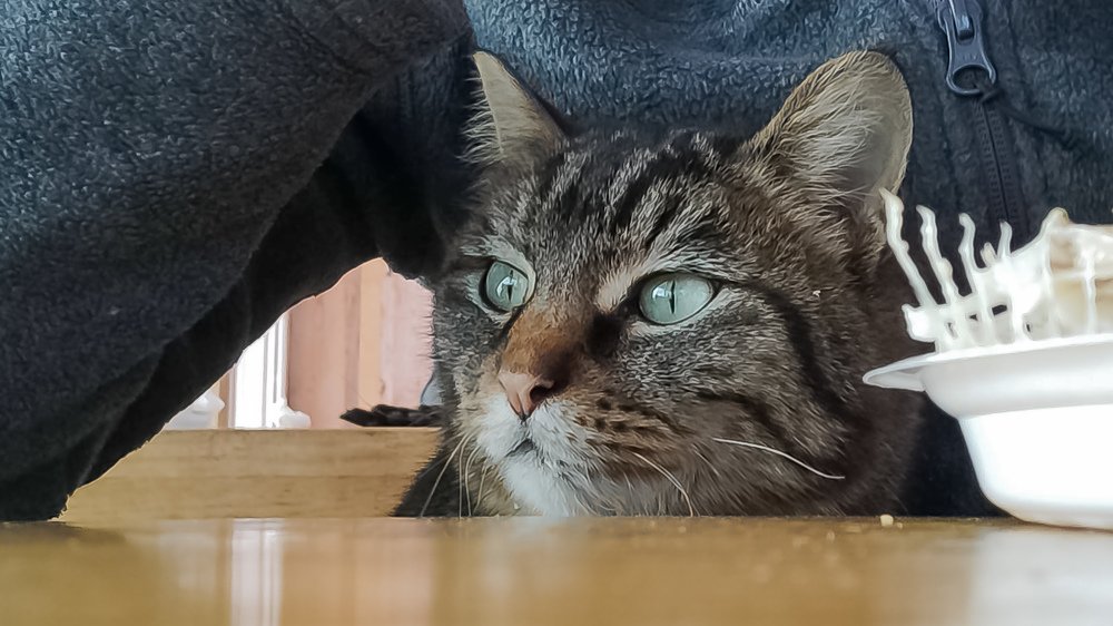 Photograph by Дмитрий Кустов