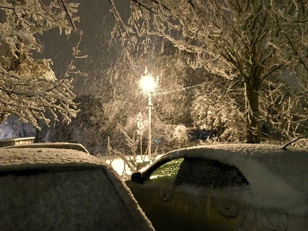 Photograph by Елена Ким