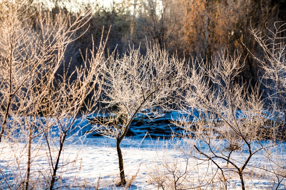 Photograph by Дмитрий Тимин