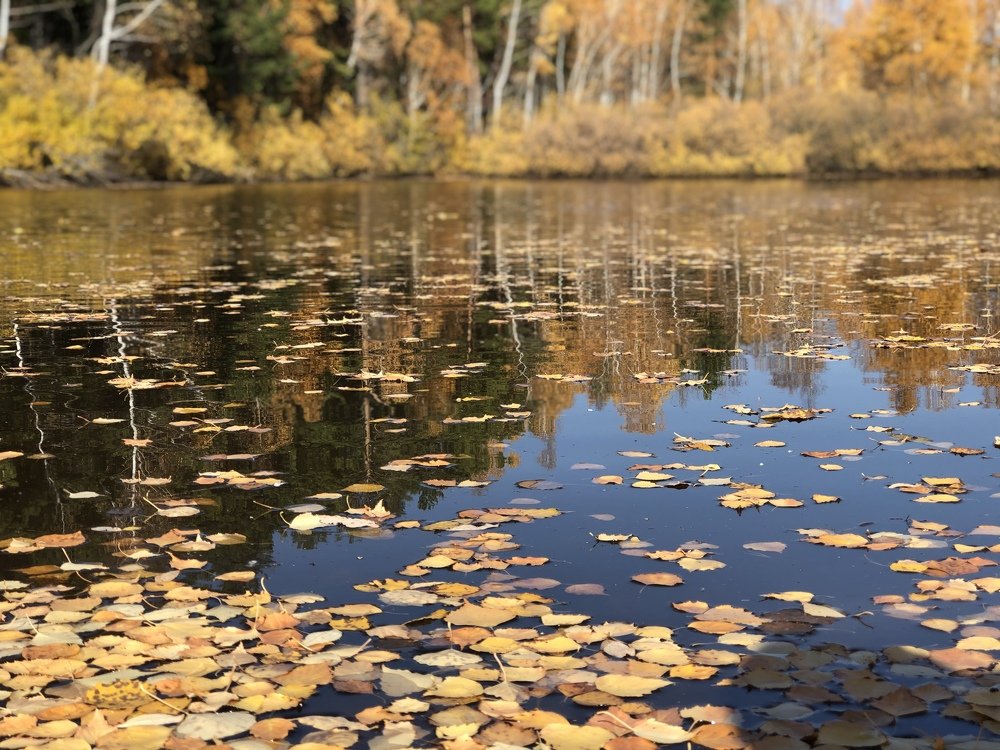 Photograph by Илья