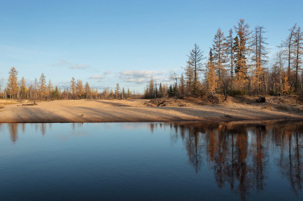 Осенние контрасты